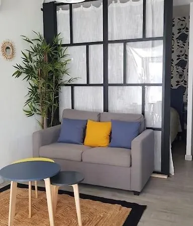 Apartament Superbe Renove Avec Parking Privatif